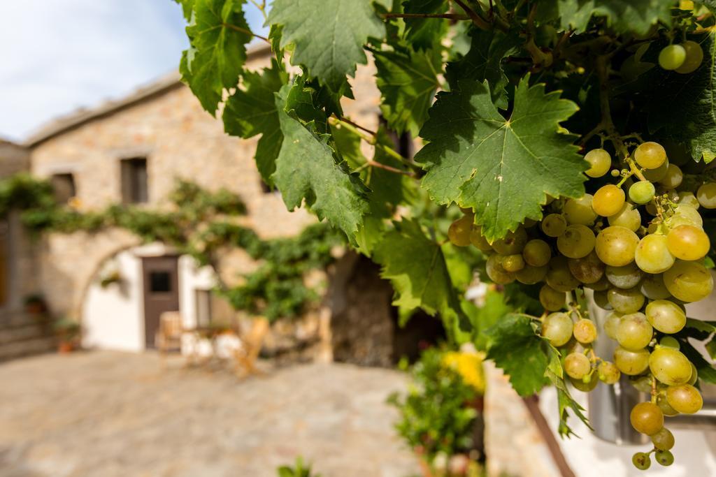 Villa Casa Mauri Tremp Esterno foto
